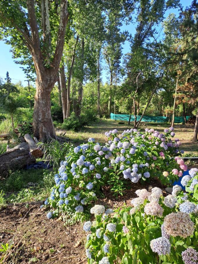 Вилла Casa Eden Exclusiva Y Comoda Casona De Descanso A Tan Solo 1 Hora De Bs As Тигре Экстерьер фото